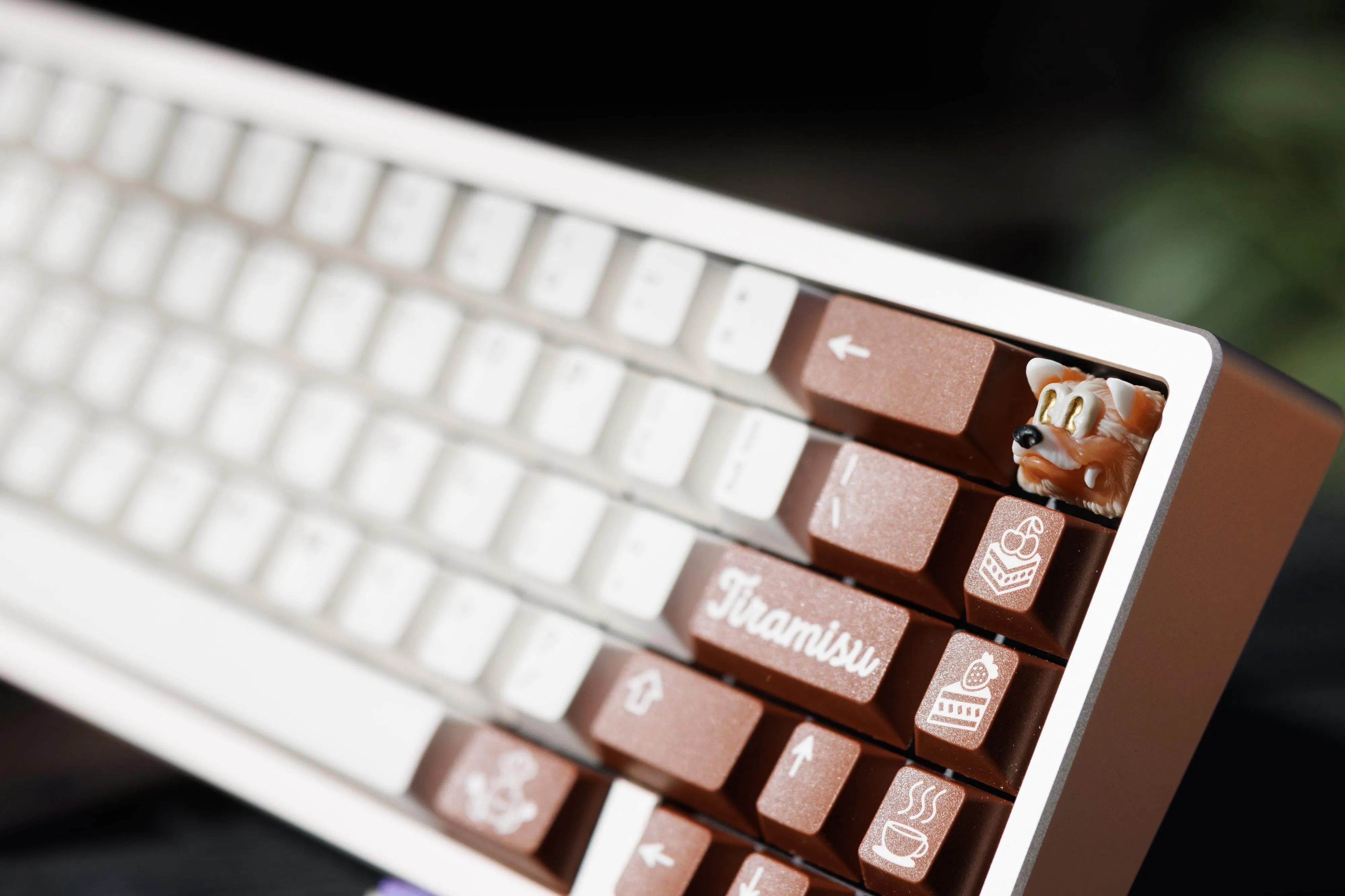 Kohaku Champagne ディテール2