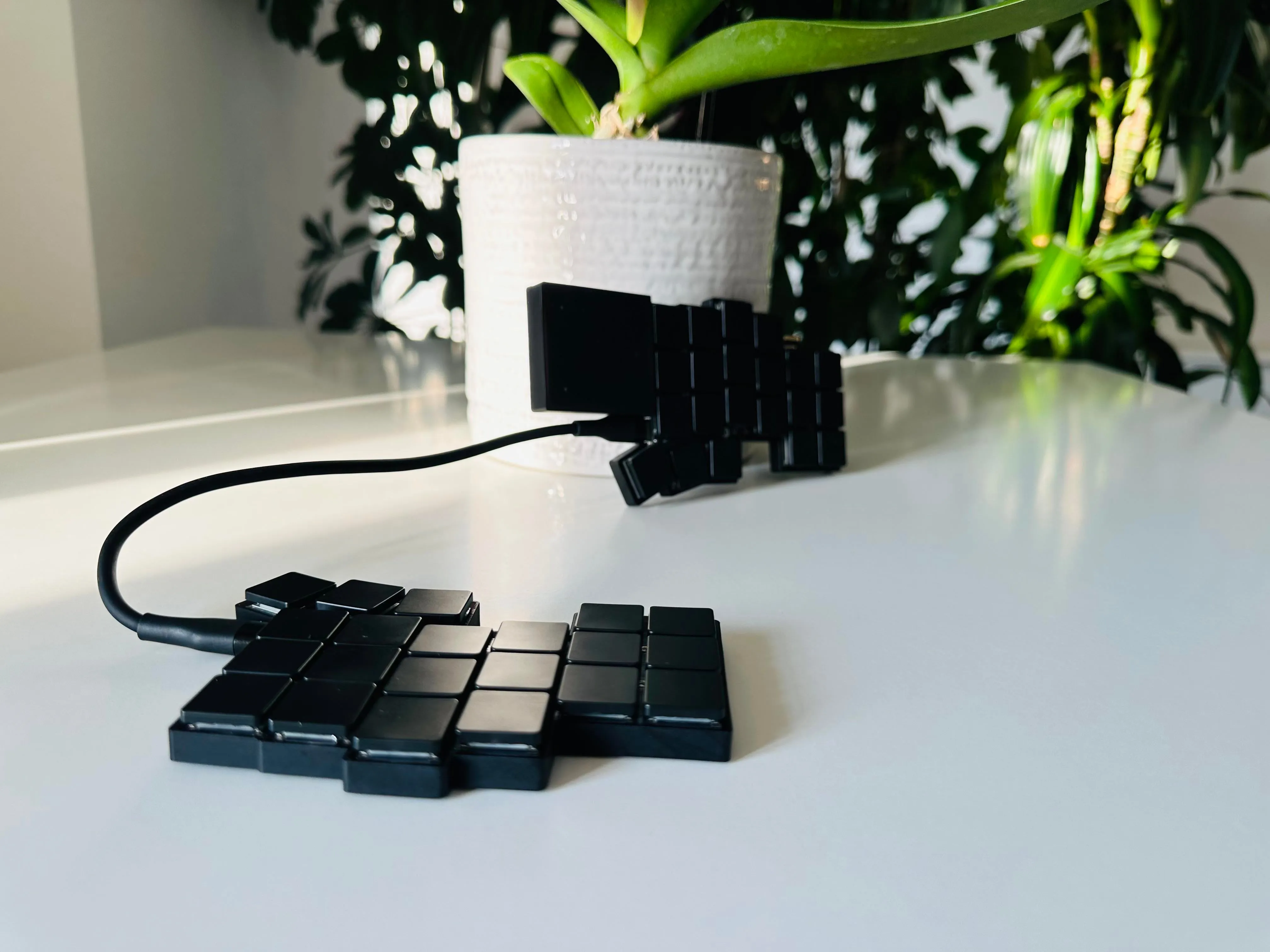 基板の背面と回路構成