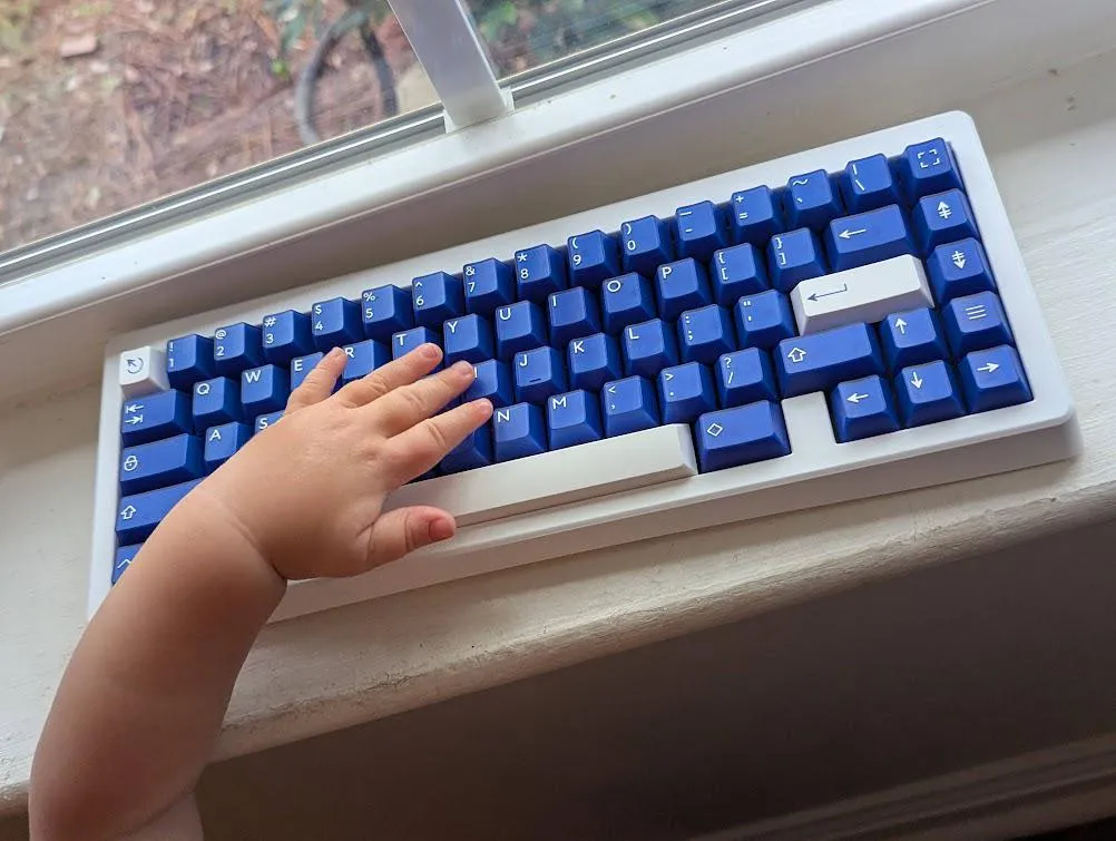 Omnitype Bauer Lite F/E カスタムビルド