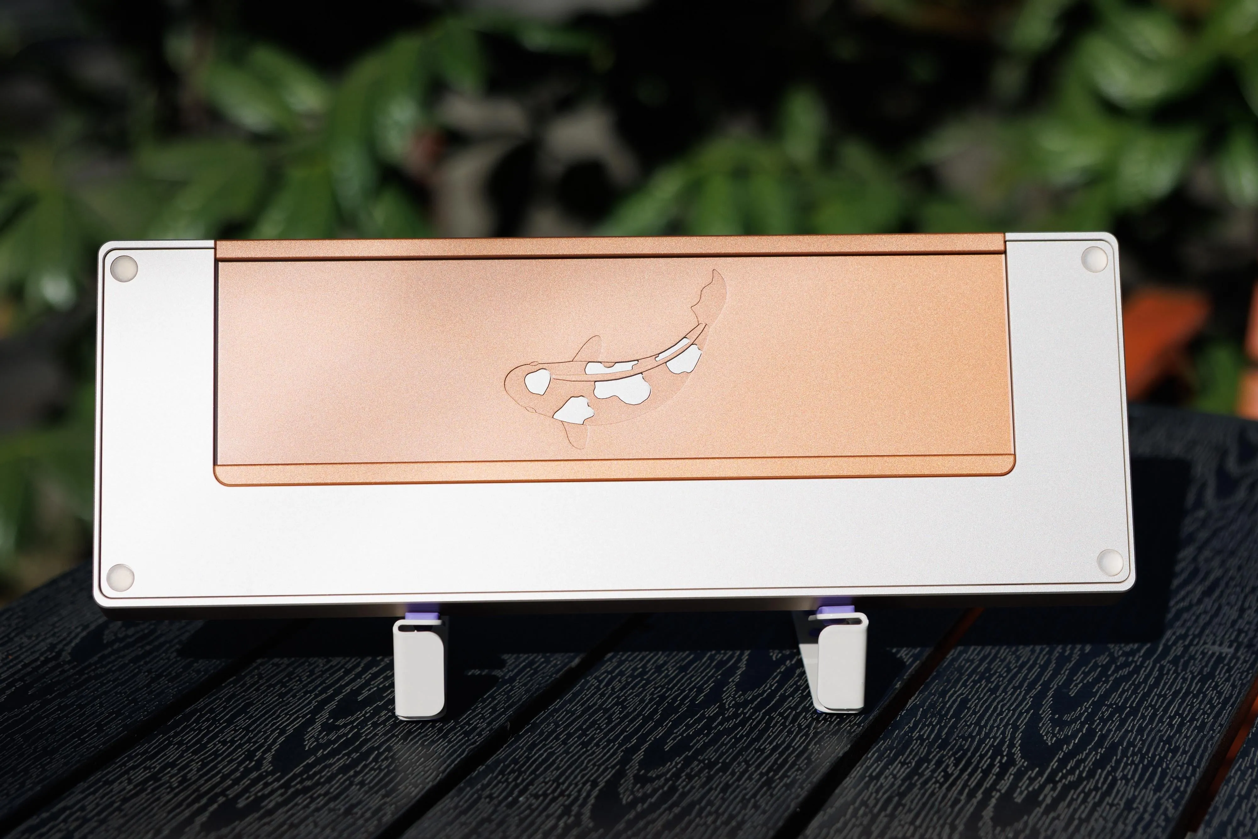 Kohaku Champagne 背面デザイン