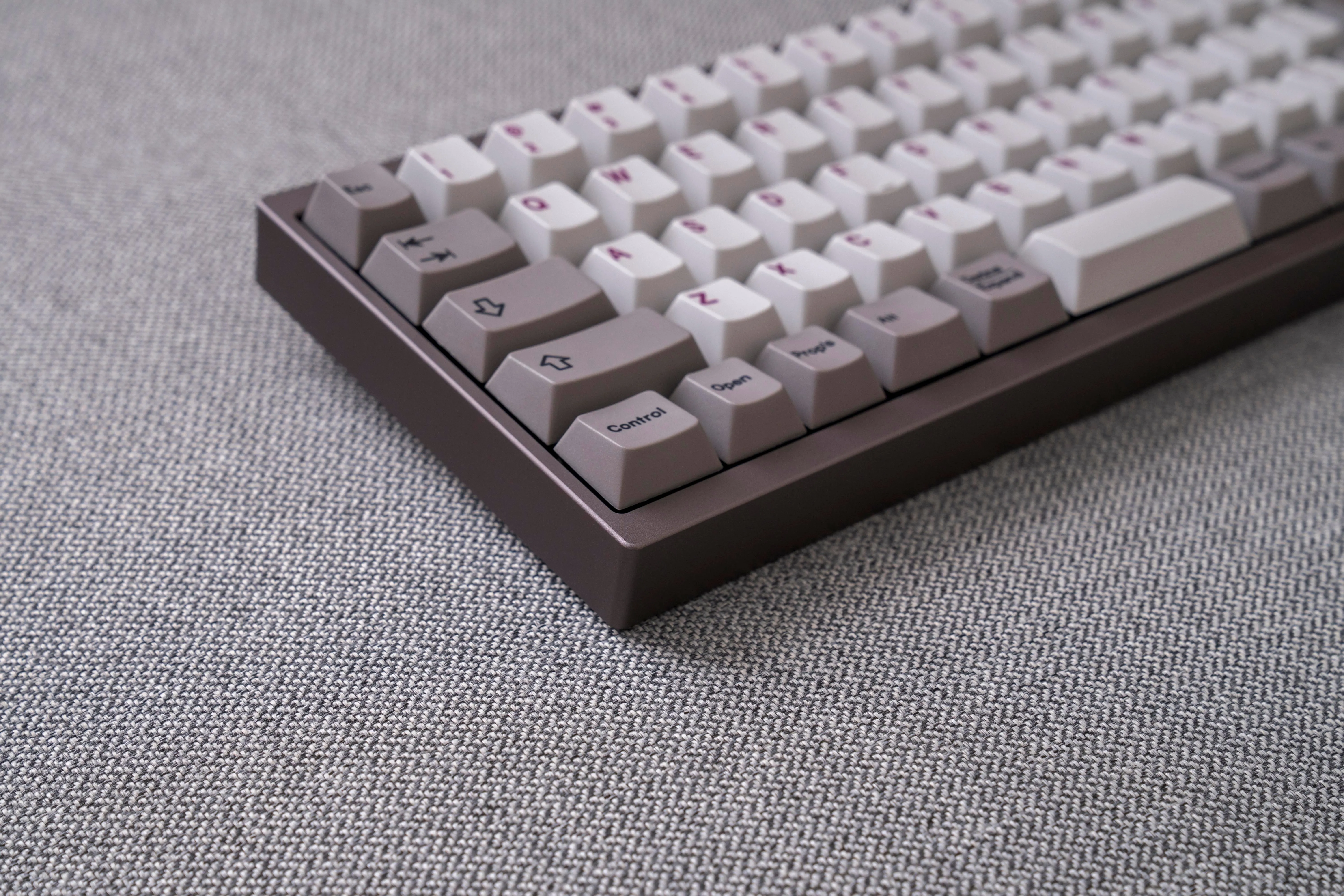 Solaris Moon Rock 全体像 1