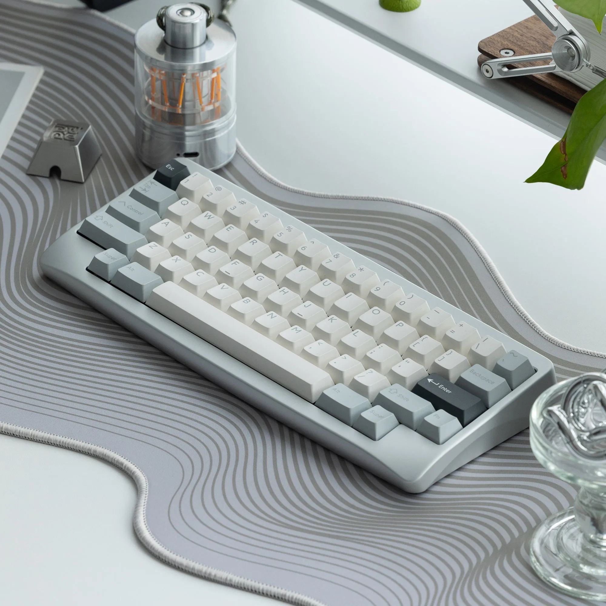 Agar背面・ウェイト