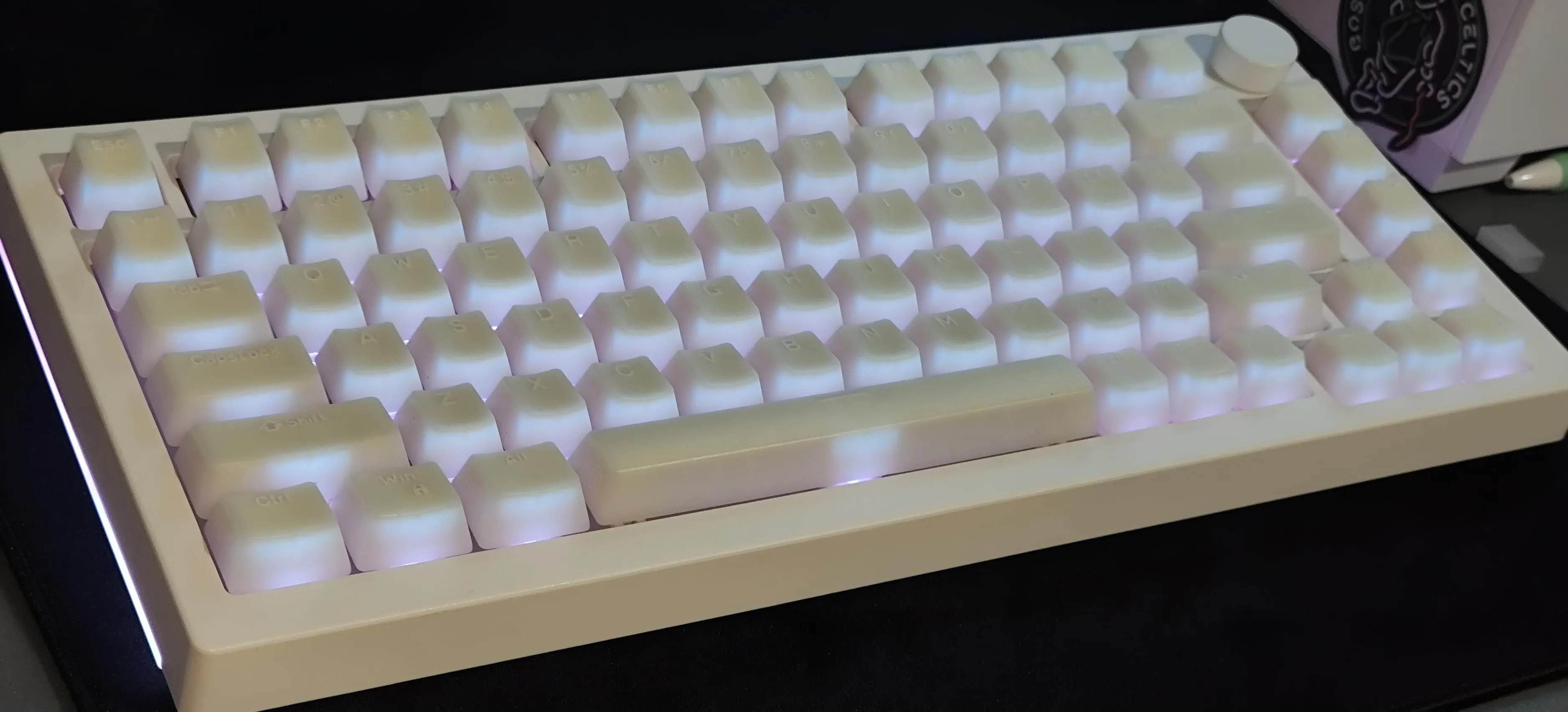 別角度からの全体像