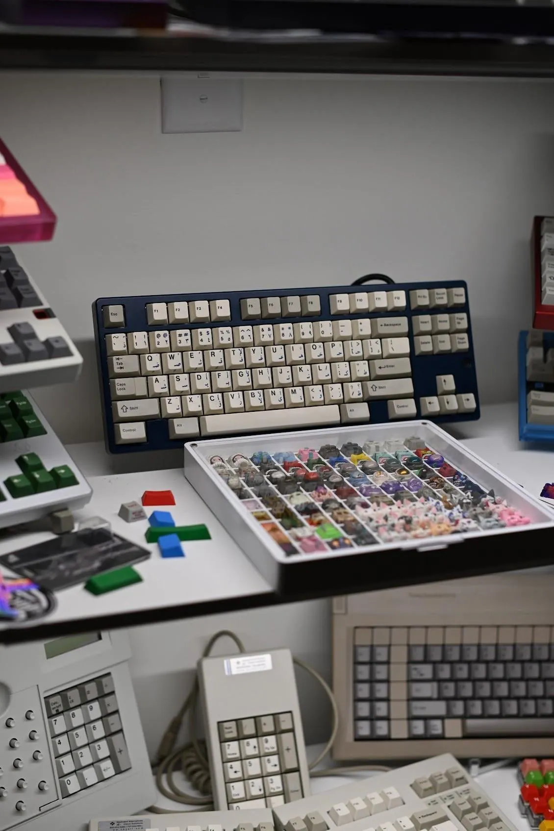 コレクション棚の全景