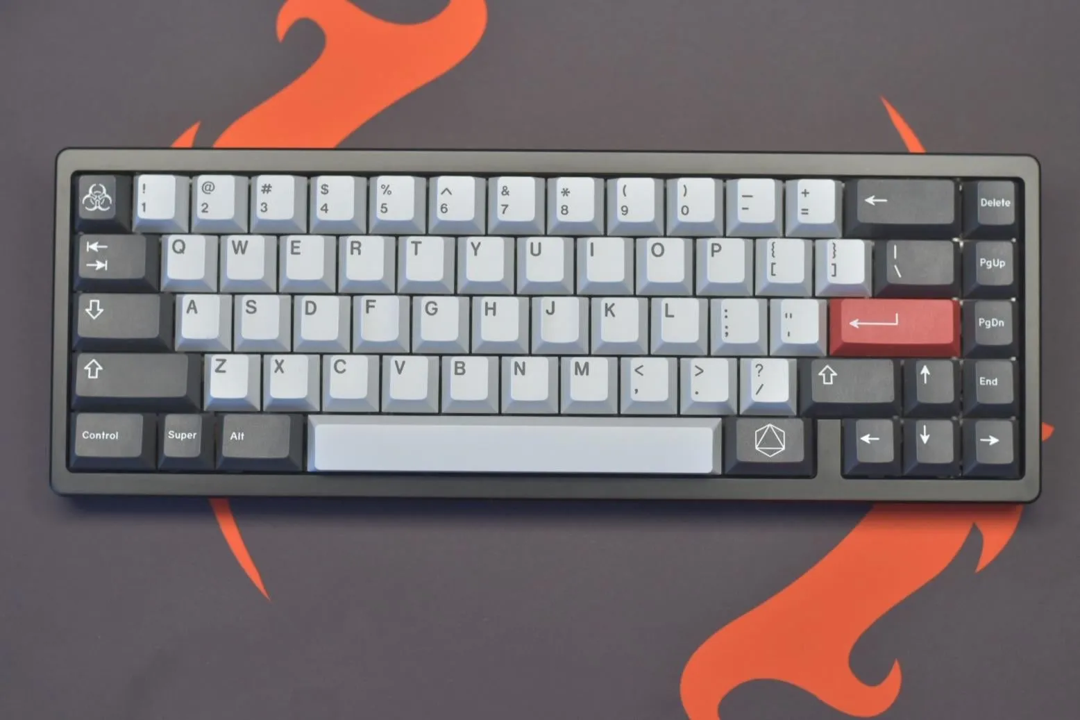 Kohakuの美しい背面デザイン