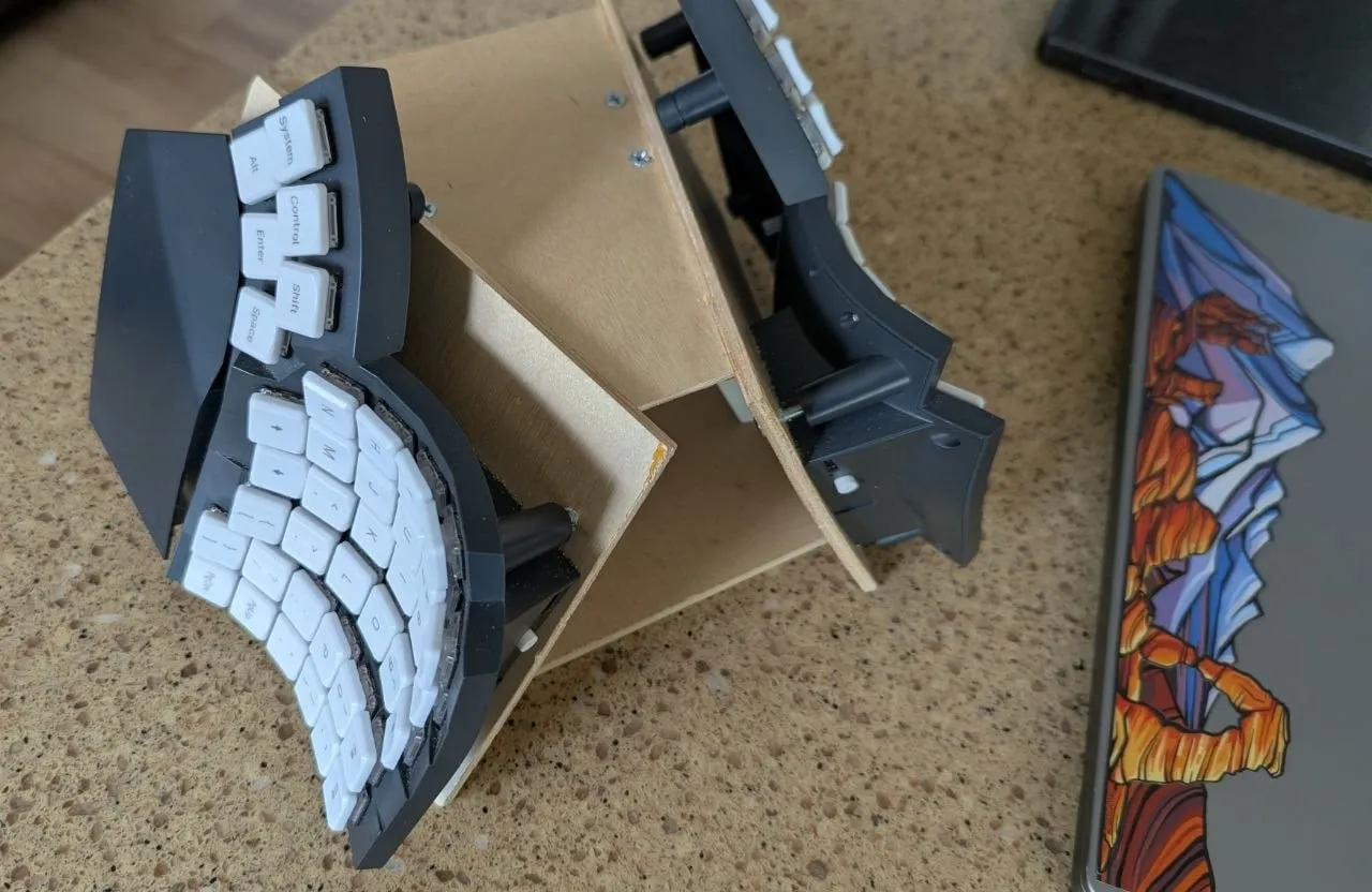 フレーム裏面や構造の様子