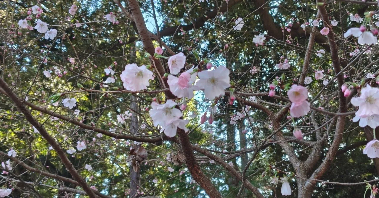 キーボードのイメージ